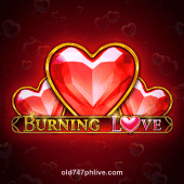 Burning Love Game